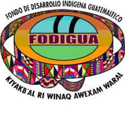 3 FODIGUA