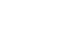 Logo negativo PIES